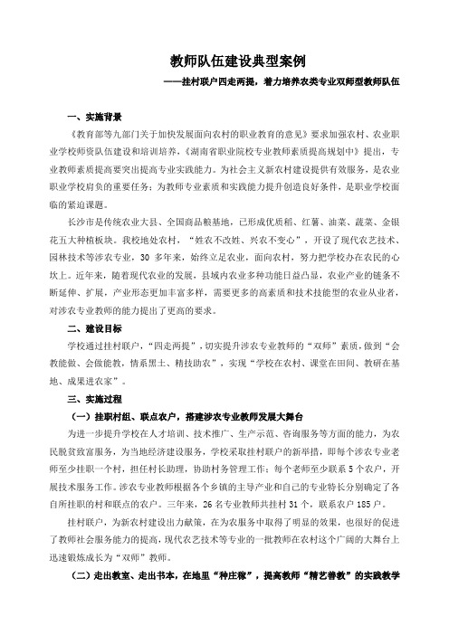 教师队伍建设典型案例