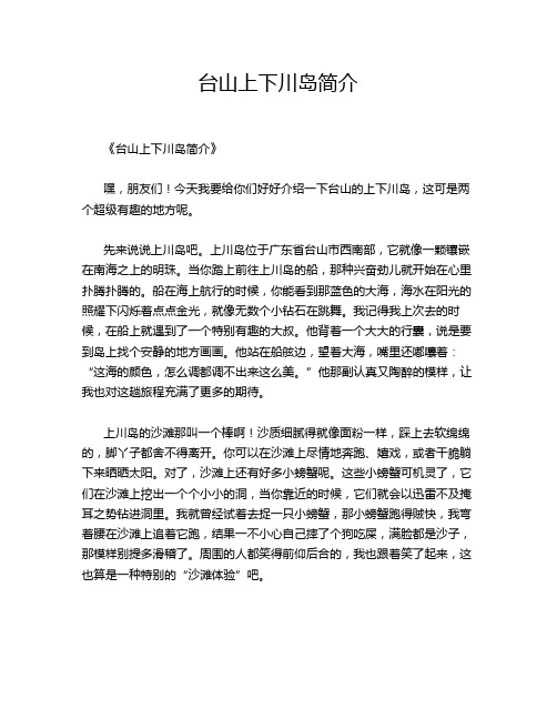 台山上下川岛简介