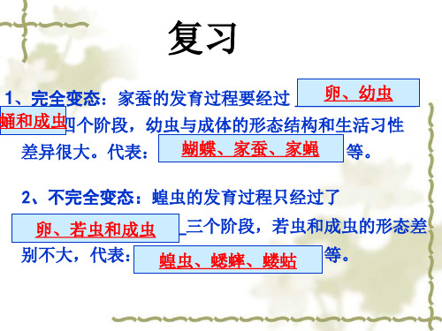 人教版八年级下册生物第七单元第一章第三节两栖动物的生殖和发育(35张ppt)