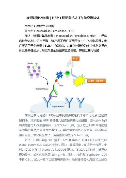 辣根过氧化物酶（HRP）标记鼠抗人TR单克隆抗体