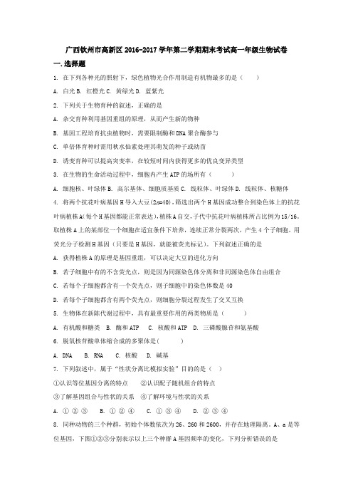 广西钦州市高新区2016-2017学年高一下学期期末考试生物试题