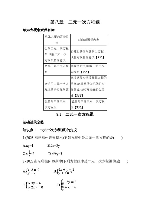 8.1 二元一次方程组 人教版数学七年级下册素养提升练习(含解析)