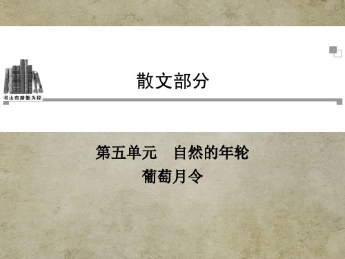 中国现代诗歌散文欣赏(人教版高中语文选修)课件—葡萄月令