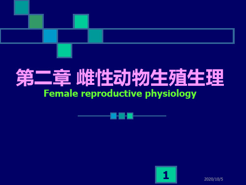 动物繁殖学课件第二章 雌性动物生殖生理