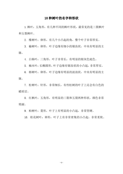 10种树叶的名字和形状