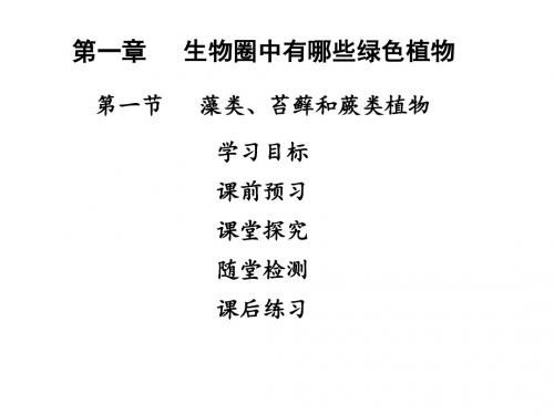 人教版七年级生物上册课件 生物圈中有哪些绿色植物  第一节藻类、苔藓、蕨类植物 (共23张PPT)