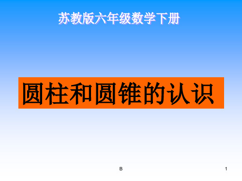 六年级数学下册《圆柱和圆锥的认识》PPT课件