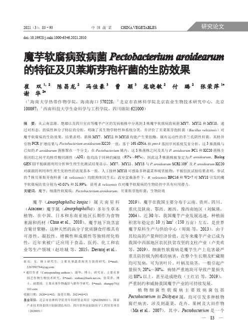 魔芋软腐病致病菌Pectobacterium aroidearum的特征及贝莱斯芽孢杆菌的生防效果