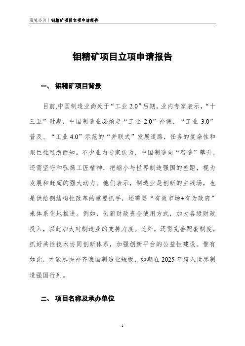 钼矿项目立项申请报告