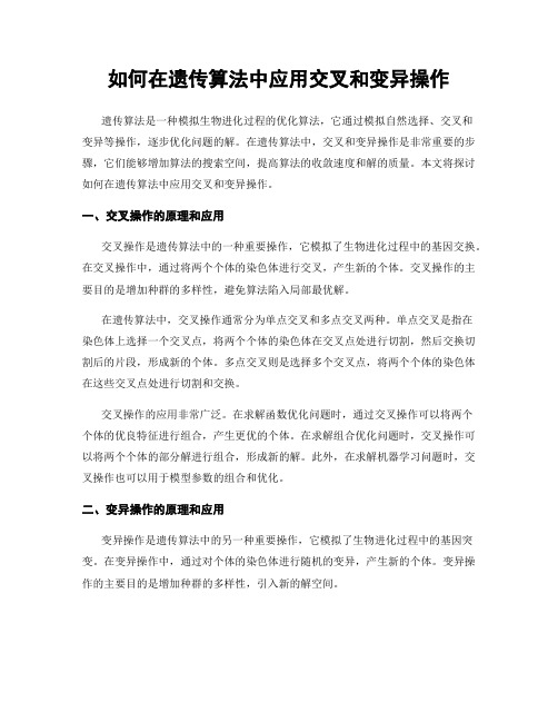 如何在遗传算法中应用交叉和变异操作