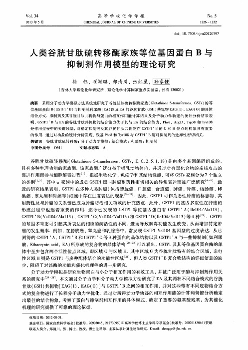 人类谷胱甘肽硫转移酶家族等位基因蛋白B与抑制剂作用模型的理论研究