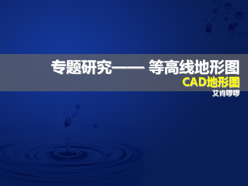 CAD地形图