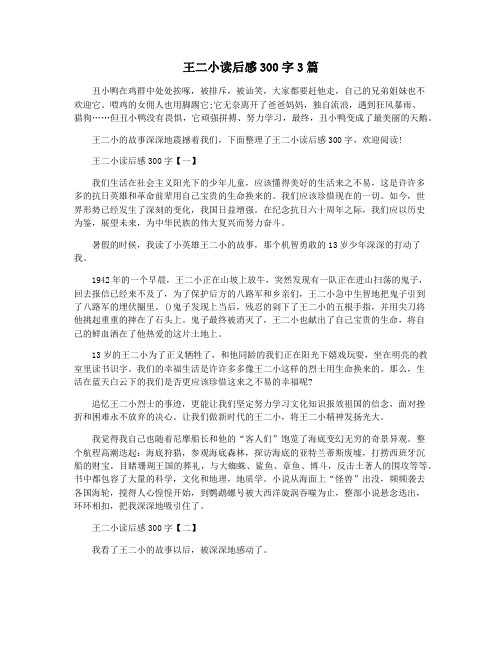 王二小读后感300字3篇