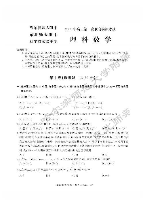 09601 东北三校2020届高三第一次模拟考试数学(理)试题 含答案