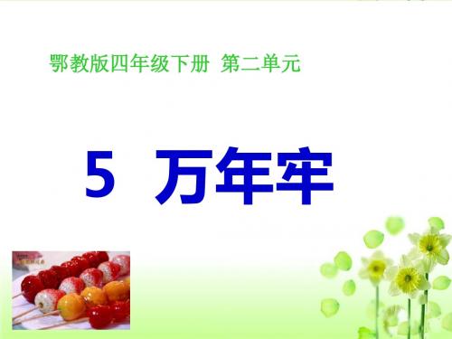 最新鄂教版小学语文四年级下册《万年牢》第二课时公开课课件