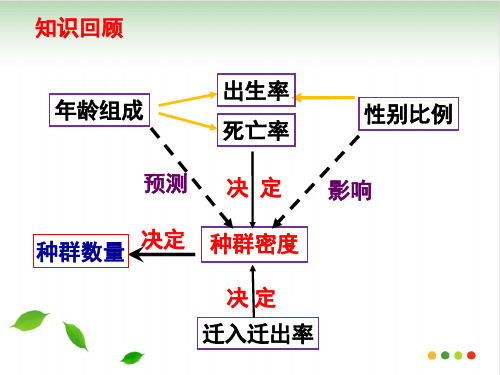 人教版《种群数量的变化》课件ppt1〔完美版〕