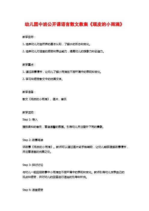 幼儿园中班公开课语言散文教案《顽皮的小雨滴》