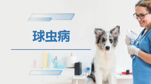 犬猫的寄生虫病(球虫病)-宠物医生课件