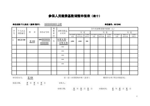 乌鲁木齐缴费基数申报表2013样版