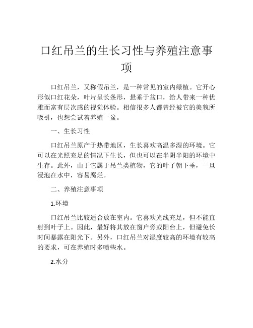 口红吊兰的生长习性与养殖注意事项