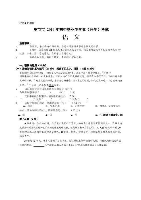 【真卷】2019年贵州省毕节市中考语文试题