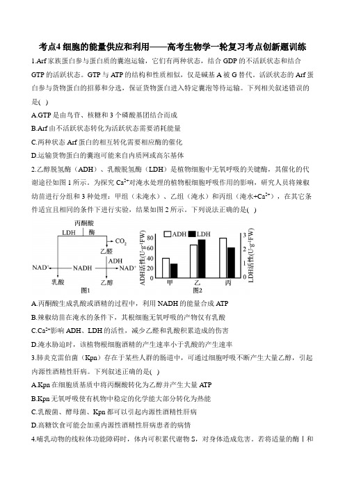 考点4 细胞的能量供应和利用——高考生物学一轮复习考点创新题训练(有解析)