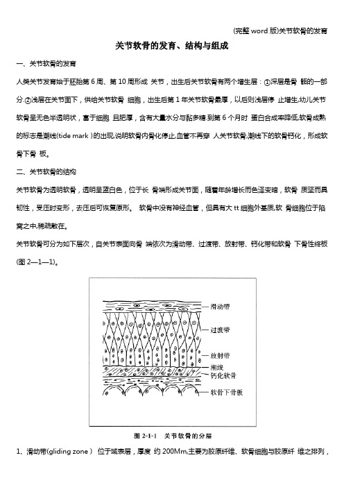 (完整word版)关节软骨的发育