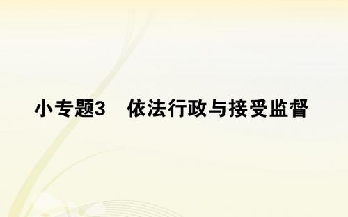 高考政治 公民权利与政府职责课件