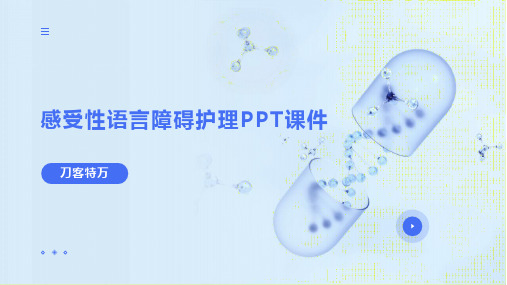 感受性语言障碍护理PPT课件