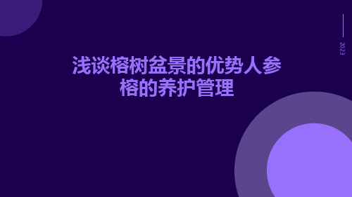 浅谈榕树盆景的优势人参榕的养护管理