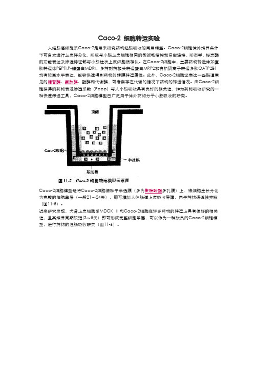 Caco-2细胞转运实验详细讲解