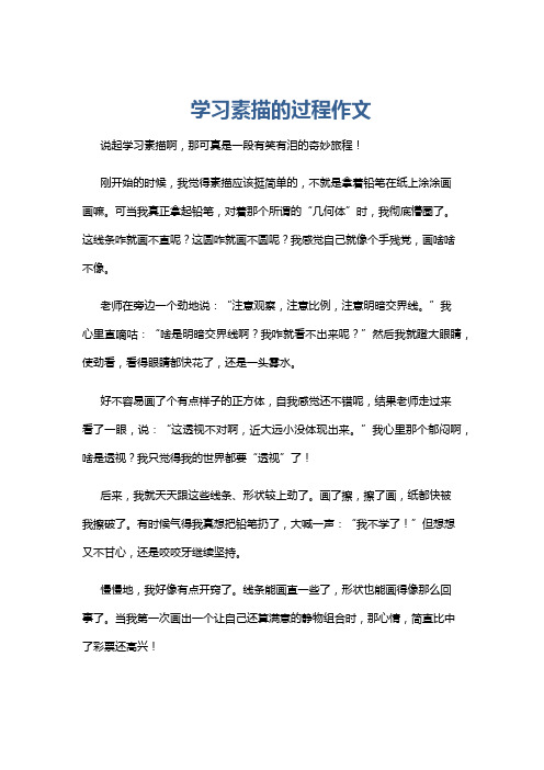 学习素描的过程作文