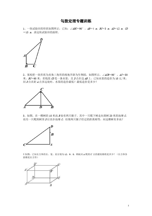 勾股定理专题训练