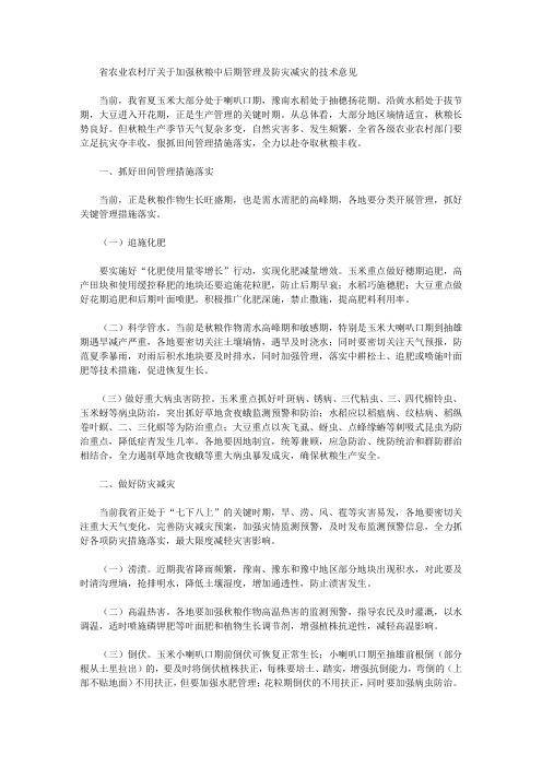 省农业农村厅关于加强秋粮中后期管理及防灾减灾的技术意见