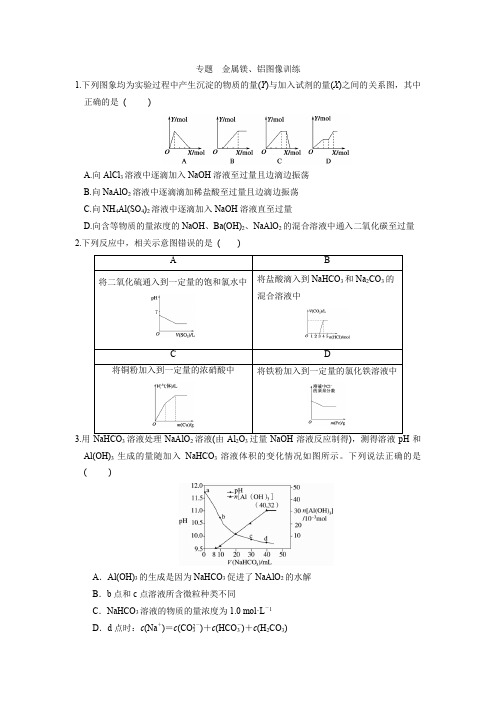 专题  金属镁、铝图像训练(原卷版) 