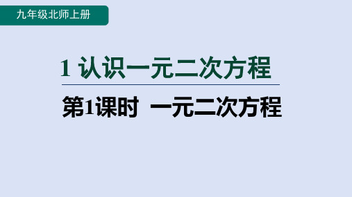 北师大版九年级数学上册第二章 一元二次方程1一元二次方程