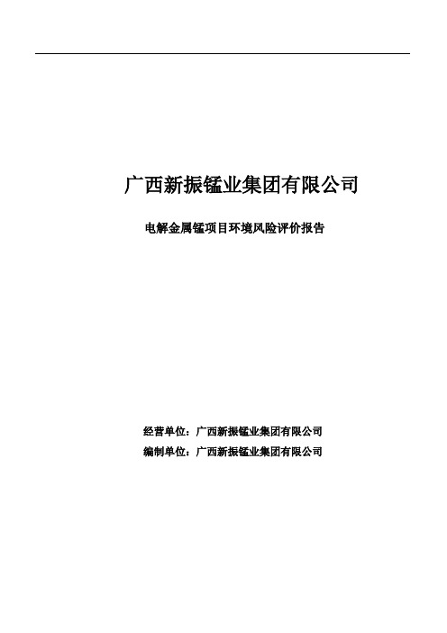 广西新振锰业集团电解锰项目环境风险评价报告(修改版)