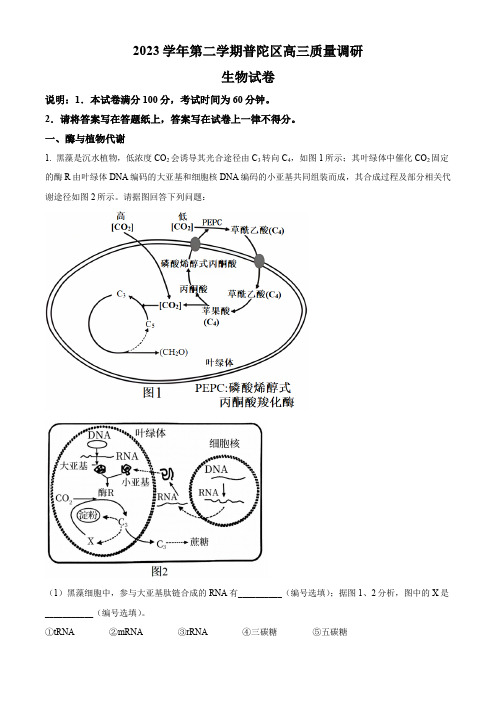 上海市普陀区高三下学期二模试题生物