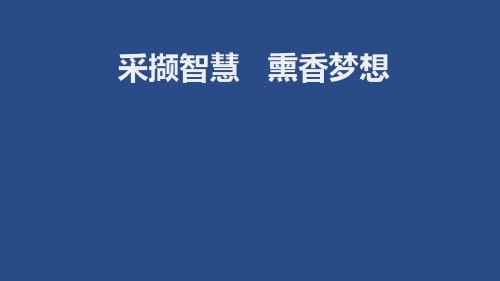 2017中考语文冲刺复习备考(共29张PPT)