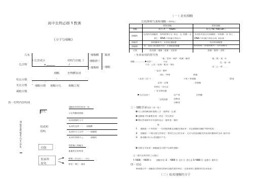 高中生物必修1教案