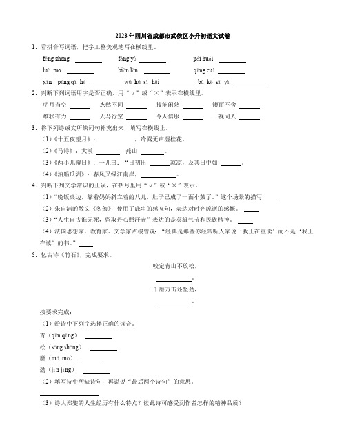 2023年四川省成都市武侯区小升初语文试卷(解析版)