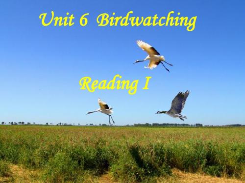 江苏省靖江市新港城初级中学八年级英语上册：Unit6 Bird watching Reading