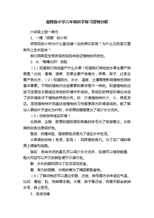 湘教版小学六年级科学复习提纲分解