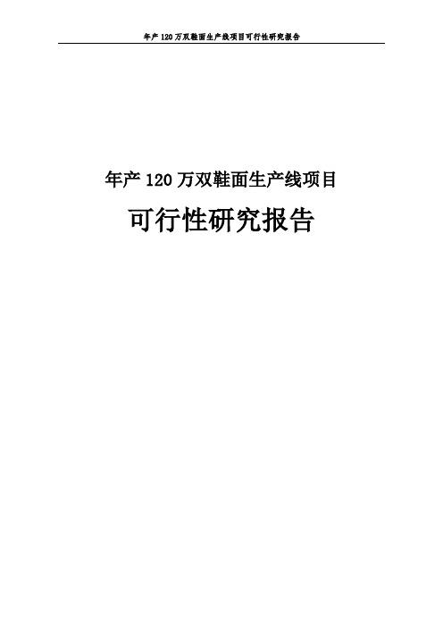 鞋面生产线项目可行性研究报告