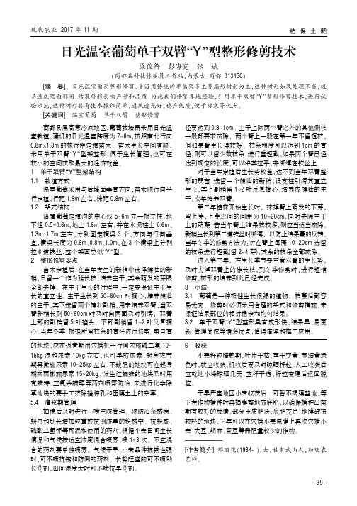 日光温室葡萄单干双臂“Y”型整形修剪技术