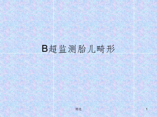 B超胎儿畸形PPT课件