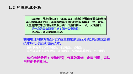 高效毛细管电泳分离氨基酸PPT课件