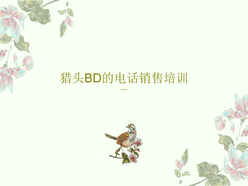 猎头BD的电话销售培训共31页