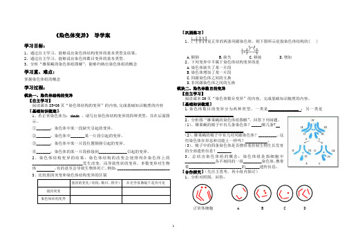 染色体变异+导学案+苏小康