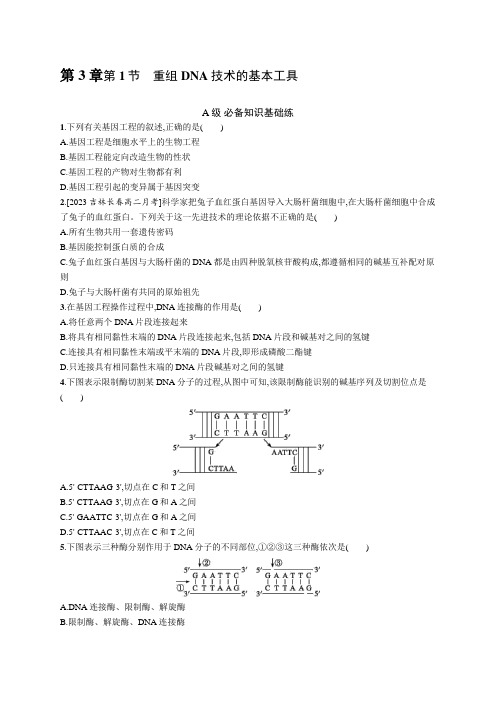 人教C版高中生物选择性必修3第3章基因工程第1节重组DNA技术的基本工具练习含答案